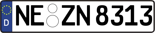 NE-ZN8313