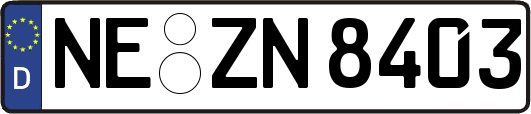 NE-ZN8403