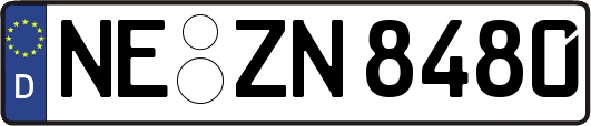 NE-ZN8480