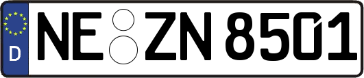 NE-ZN8501