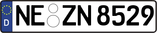 NE-ZN8529