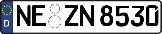 NE-ZN8530