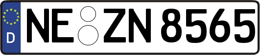 NE-ZN8565