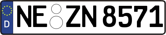 NE-ZN8571