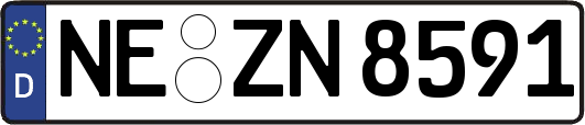 NE-ZN8591