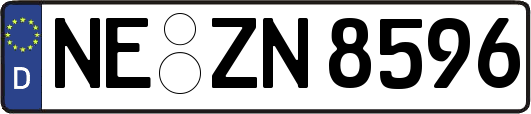 NE-ZN8596