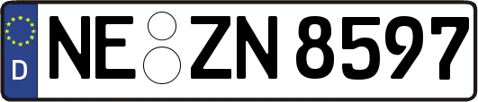NE-ZN8597