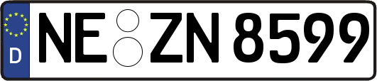 NE-ZN8599