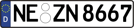 NE-ZN8667