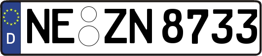 NE-ZN8733