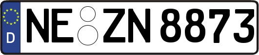 NE-ZN8873
