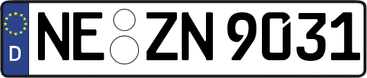 NE-ZN9031