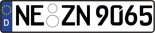 NE-ZN9065