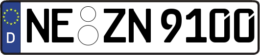 NE-ZN9100