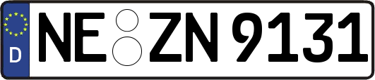 NE-ZN9131