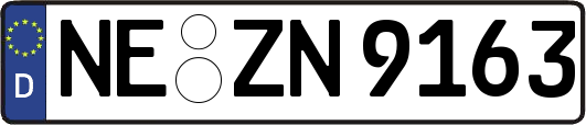 NE-ZN9163