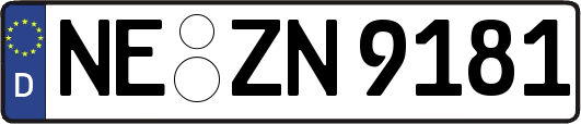 NE-ZN9181