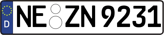 NE-ZN9231
