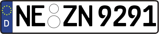 NE-ZN9291
