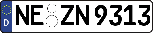 NE-ZN9313