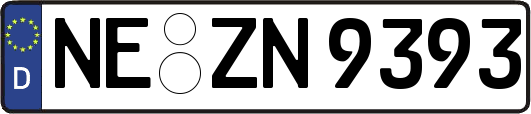 NE-ZN9393