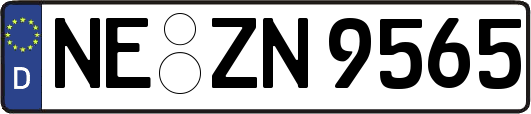NE-ZN9565