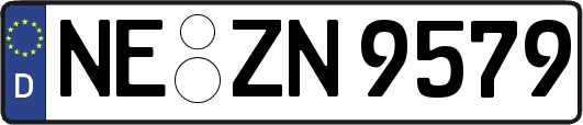 NE-ZN9579