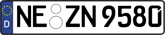 NE-ZN9580