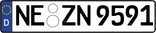 NE-ZN9591