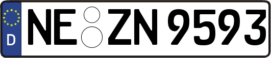 NE-ZN9593