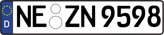 NE-ZN9598