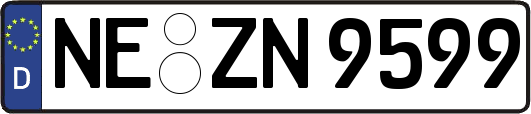 NE-ZN9599