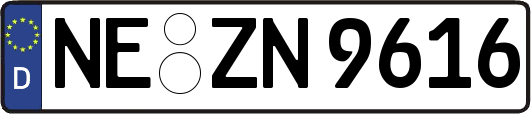 NE-ZN9616