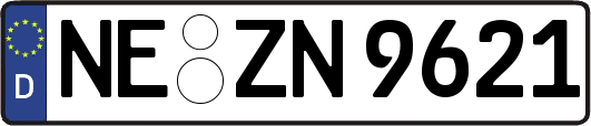 NE-ZN9621