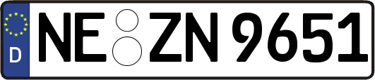 NE-ZN9651