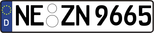NE-ZN9665
