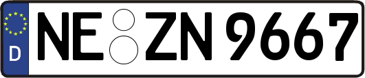 NE-ZN9667