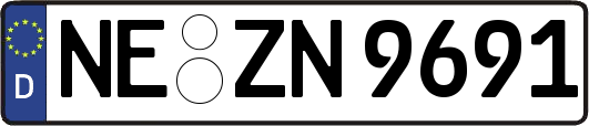 NE-ZN9691
