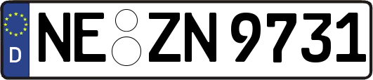 NE-ZN9731