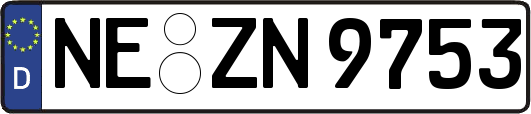 NE-ZN9753