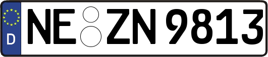 NE-ZN9813