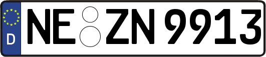NE-ZN9913
