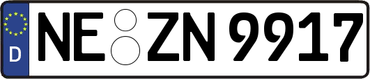 NE-ZN9917
