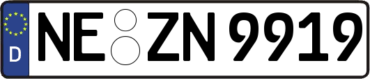 NE-ZN9919
