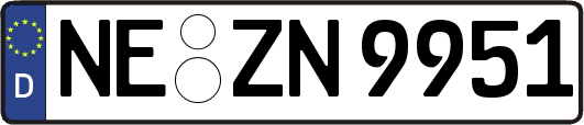 NE-ZN9951