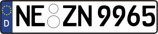NE-ZN9965