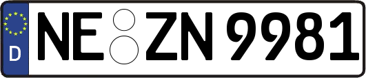 NE-ZN9981