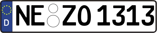 NE-ZO1313