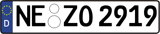 NE-ZO2919