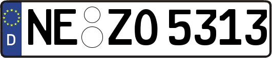 NE-ZO5313